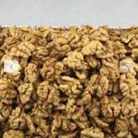 مغز گردو تازه