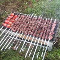 غذای سگ و گربه.