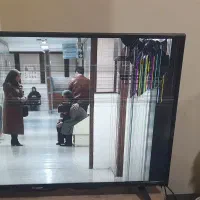 تلوزیون
