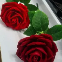تک شاخه ، دسته گل عروس ، تل مو و گیر مو