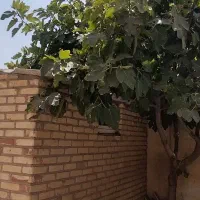 رهن-و-اجاره