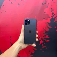 iPhone 12 pro maxپلمپ