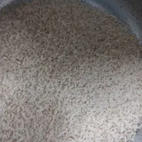 برنج دمسیاه صدری
