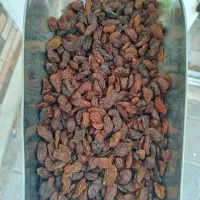 کشمش آفتاب خشک