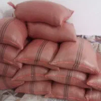 بذر شلتوک