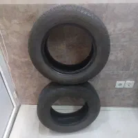 لاستیک کوییک 14