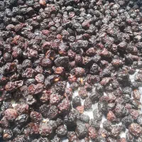 گیلاس تکدانه خشک