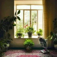سوئیت-بدون-خواب