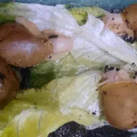 حلزون آچاتینا