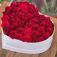 حراج گل رز . ارسال فوری دسته گل. باکس گل و تاج گل