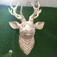 استخدام صندوق دار خانم
