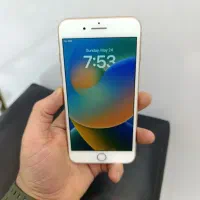 iPhone 8 plus|موبایل|مشهد, استاد یوسفی (شهرک غرب)|دیوار