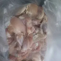 غذای سگ و گربه