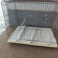 قفس پرندگان