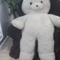 خرس بزرگ نو