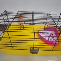 قفس