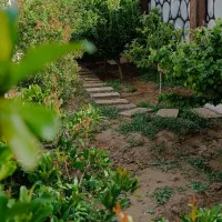 باغ-ویلا-820-متری-با-100-متر-بنا