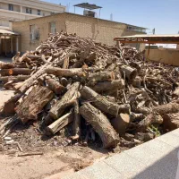 خریدجوب واصلاح ‌کلیه درختان باغی،بید،مورد،زردال