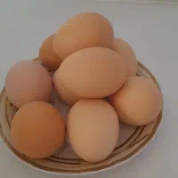 تخم مرغ محلی تازه وخوشمزه