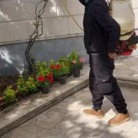 خدمات باغبانی و سمپاشی با ضمانت و فاکتور