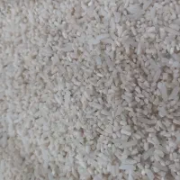 برنج نیمه دامه ی هاشمی