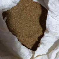 گل و گیاه طبیعی