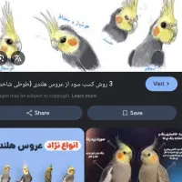 عروس هلندی