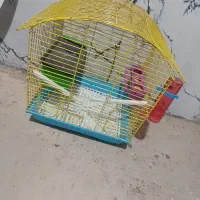 قفس مرغ عشق