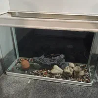 تراریوم