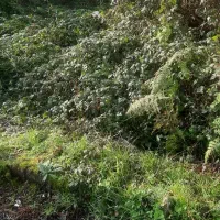 زمین/۲۰۸متر/مسکونی