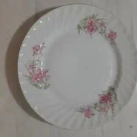 فروش بشقاب پلو خوری