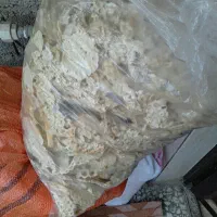 نون خشک بدونه کپک کیلویی35تومان
