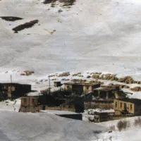 دامداری