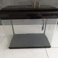 آکواریوم شرکتی شیشه خم