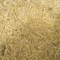 خر یدوفروش کاه گندم ونخود