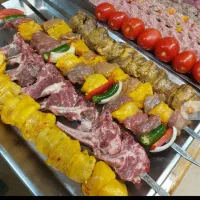 استخدام سالنکار و شاطر