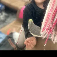 جوجه عروس