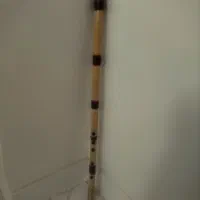 نی کوک سل دیز