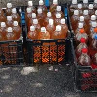 آبغوره صددرصد طبیعی برای پارسال بدون نمک