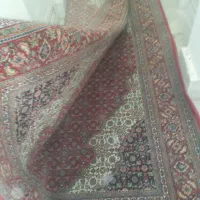 فرش|فرش|زنجان, |دیوار
