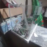 آکواریم