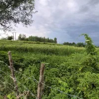 سرایدار زیر ۲۵ سال کاری آقا بدون سیگار