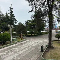 کد-8531-فروش-مغازه-بر-اصلی-بلوار-طالقانی
