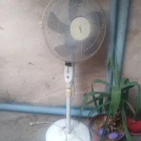 پنکه ایستاده