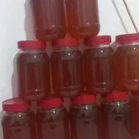 فروش عسل صد درصد طبعیی ژل رویال موجود است