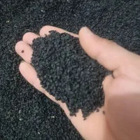 بذر پیاز دستگیری قوطی مینروا ارژانتین