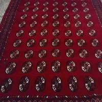 فرش|فرش|شیروان (خراسان), |دیوار