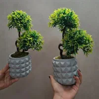 یک جفت گلدان تزئینی