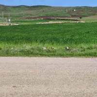 فروش-زمین-کشاورزی-باغی-در-روستای-بازان-میرکی