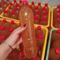 آبغوره خونگی
